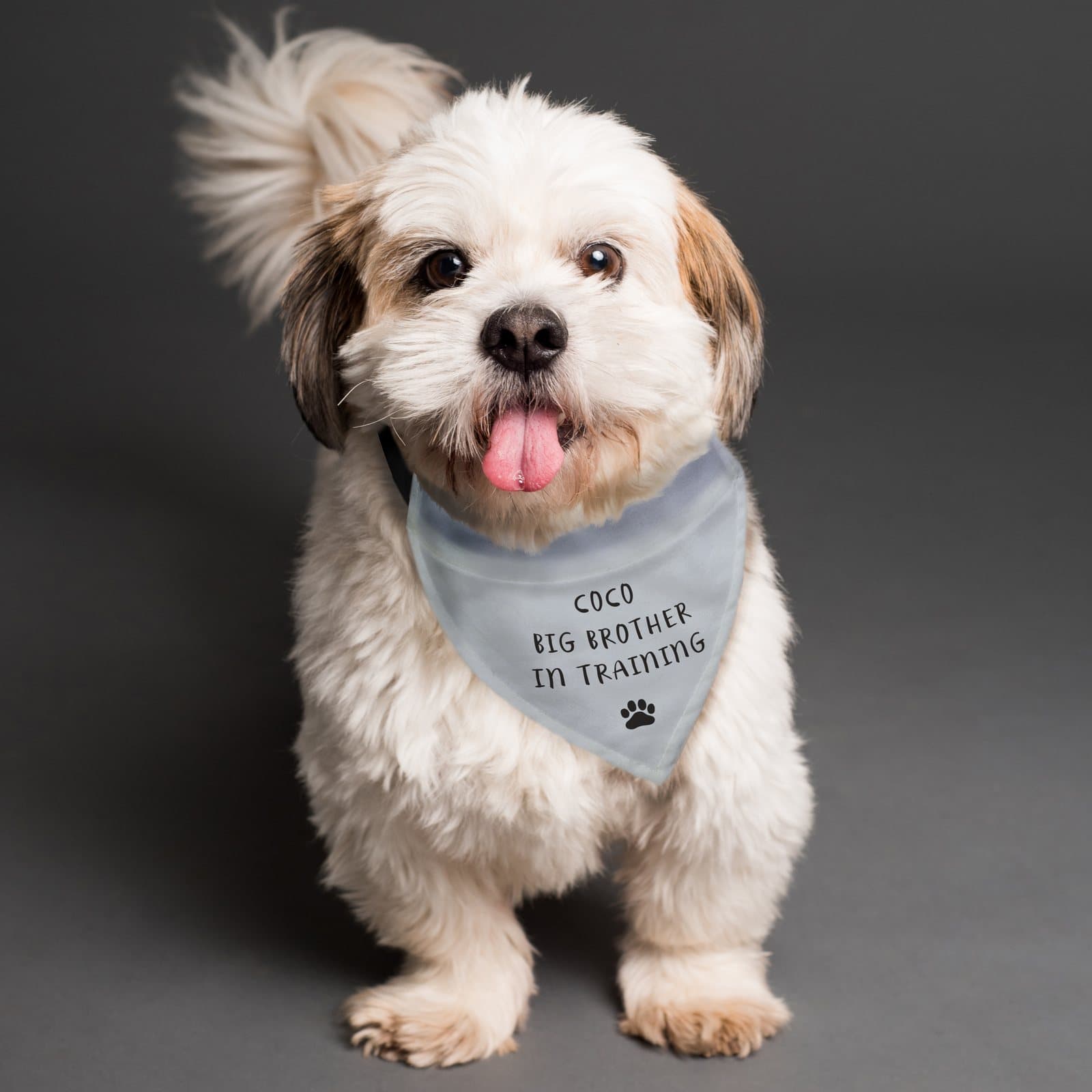 Personalised dog bandana