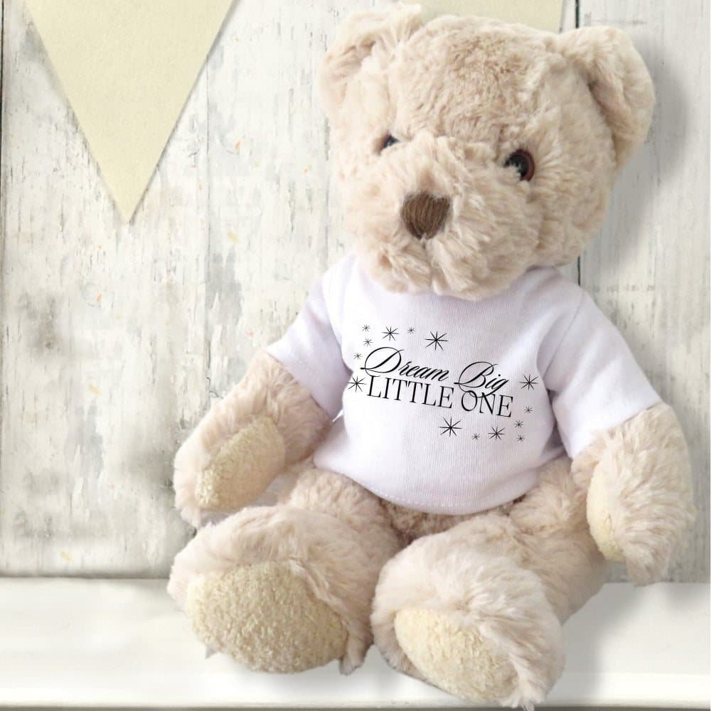 Teddy bear in a T-shirt printed Dream Big Little One with little stars