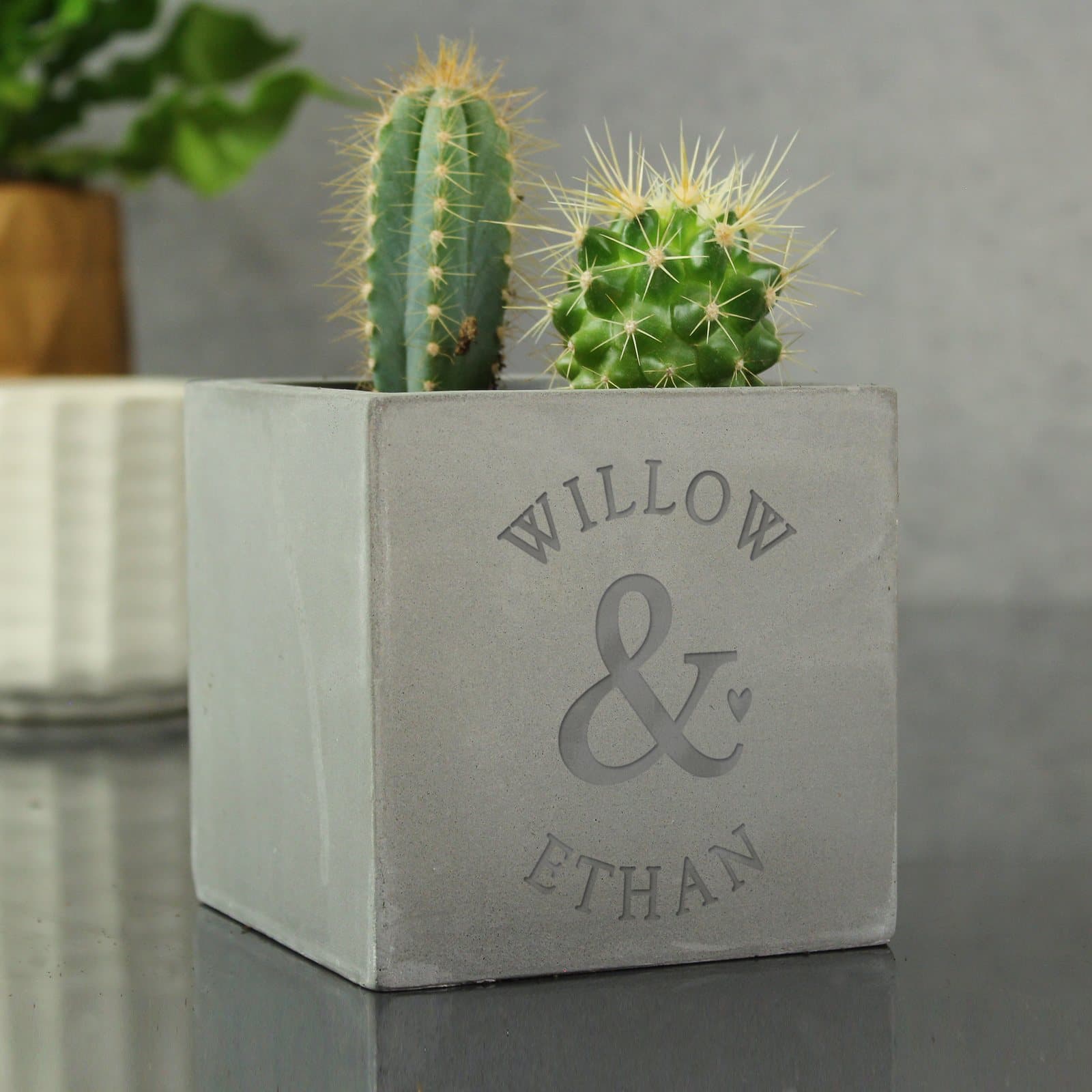 Concrete plant pot with two personalised names and an ampersand
