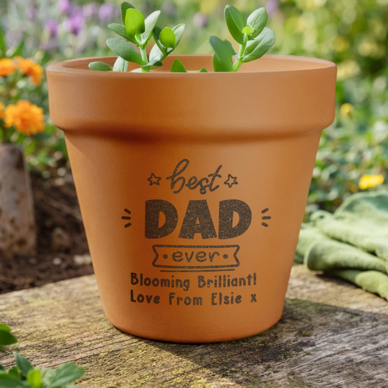Terracotta plant pot engraved with Best Ever and lines of text