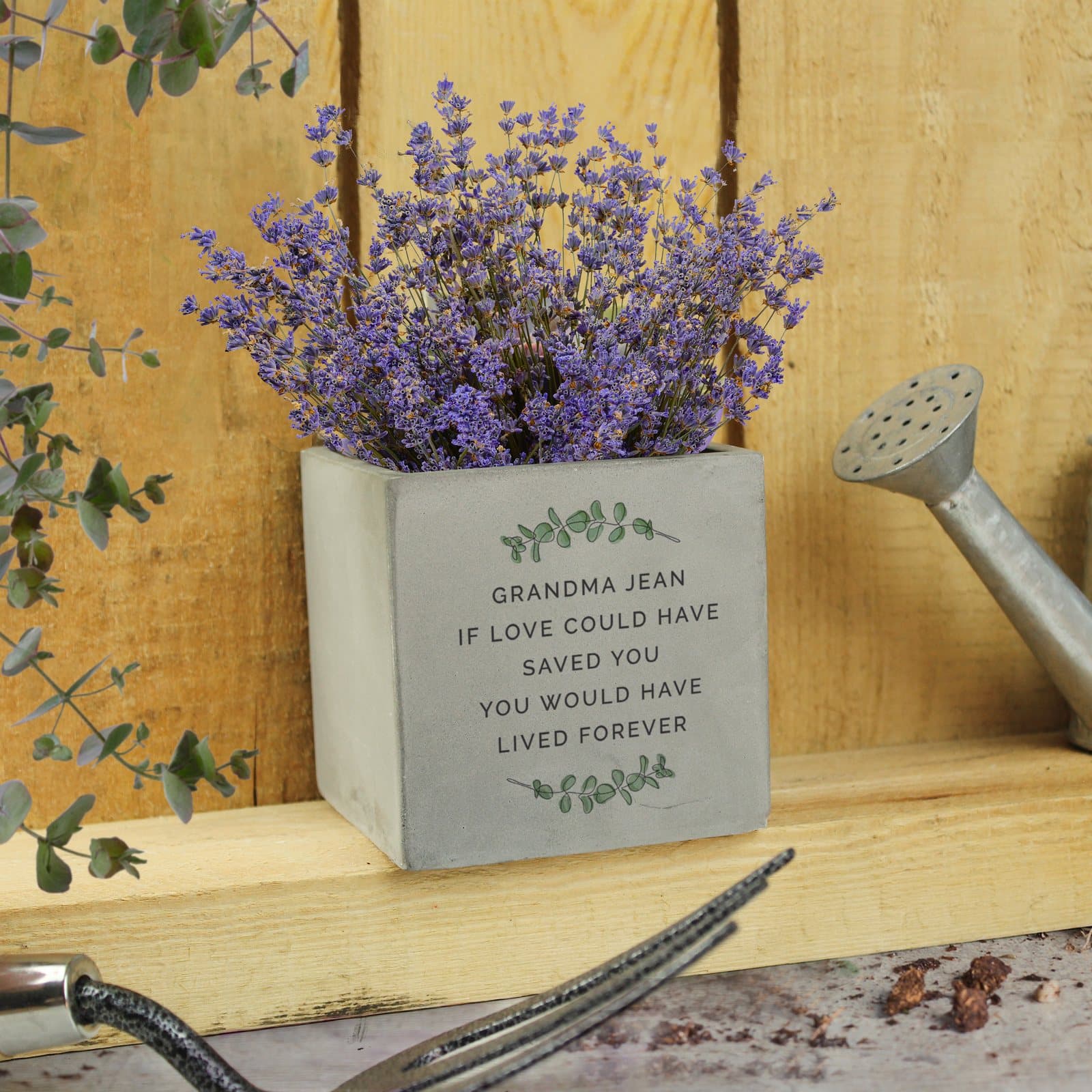 Small botanical concrete plant pot with lines of text