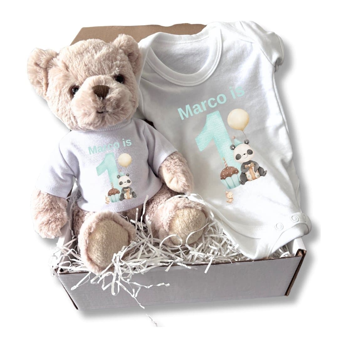 Teddy bear and baby vest with the Boys 1st Birthday Panda design in pale green