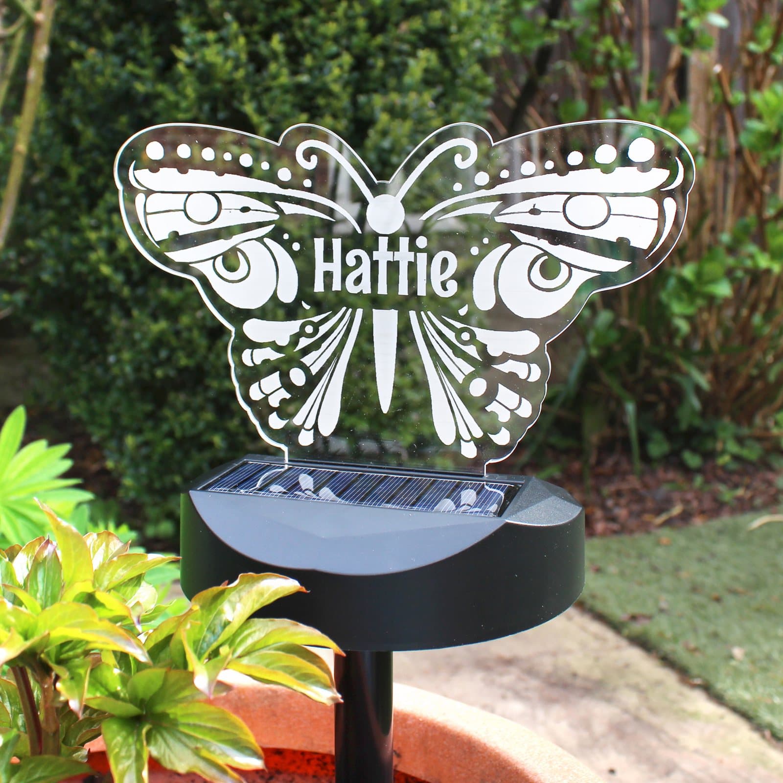 Butterfly solar LED light with a name on the sign