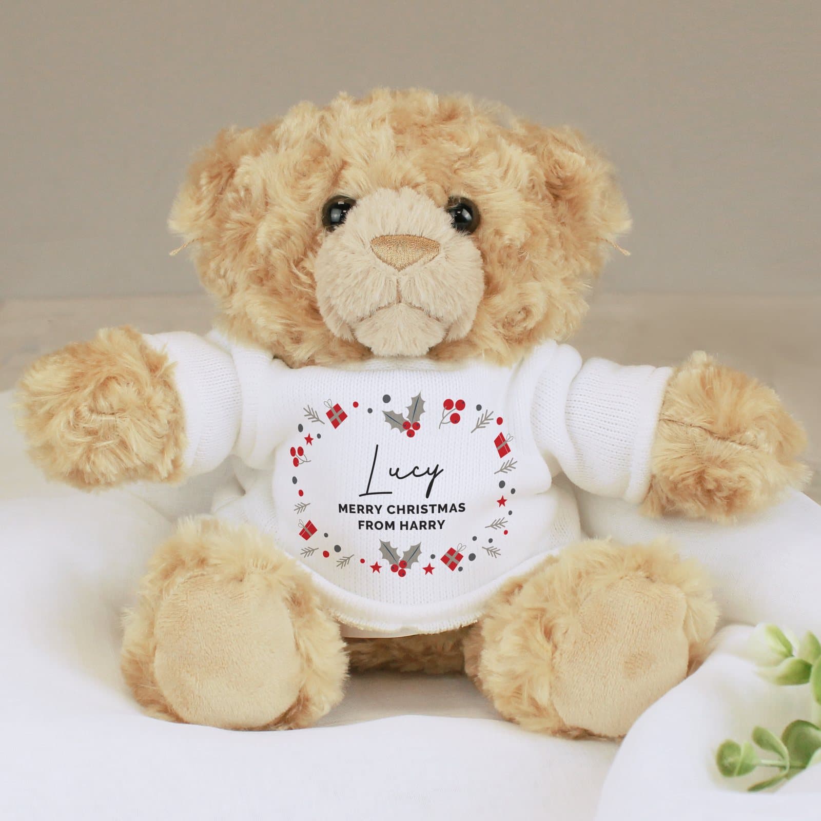Christmas teddy bear wearing a T-shirt