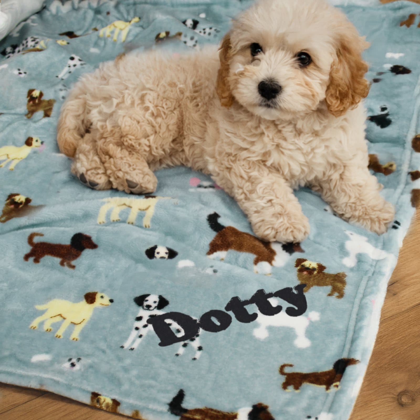 Fleece dog blanket with a paw print design and a personalised name