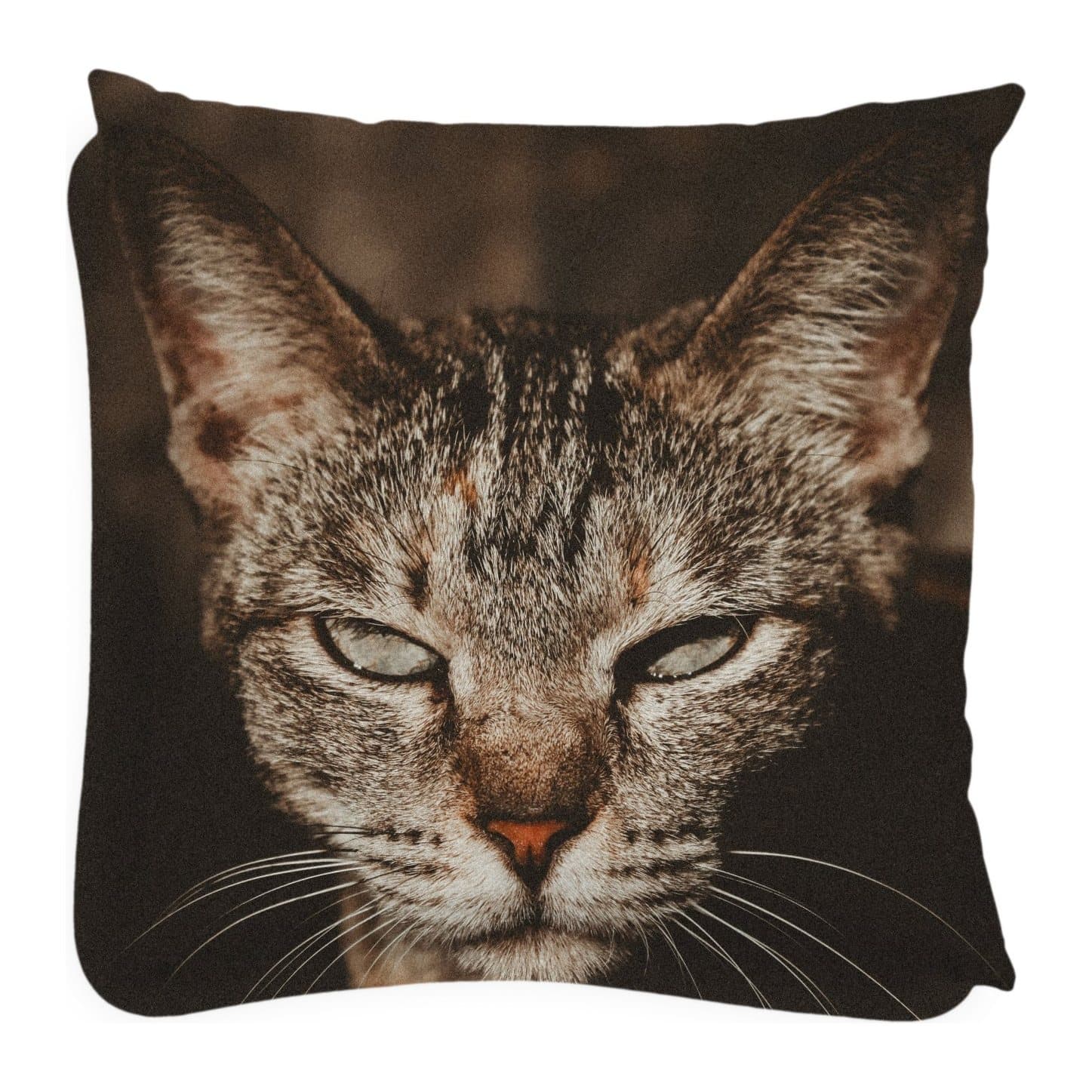 Large square cushion printed with a close-up of a tabby cat