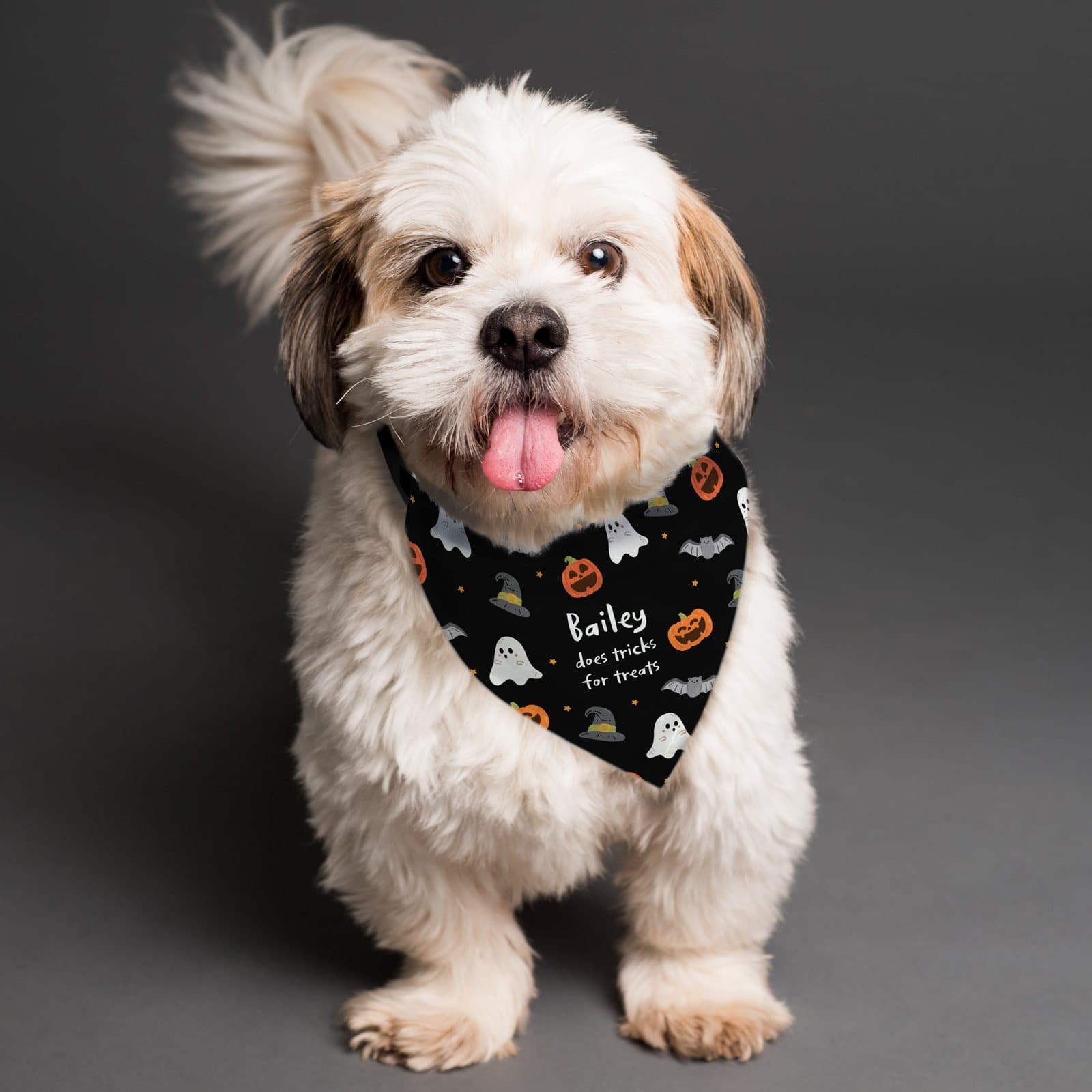 Personalised Halloween dog bandana