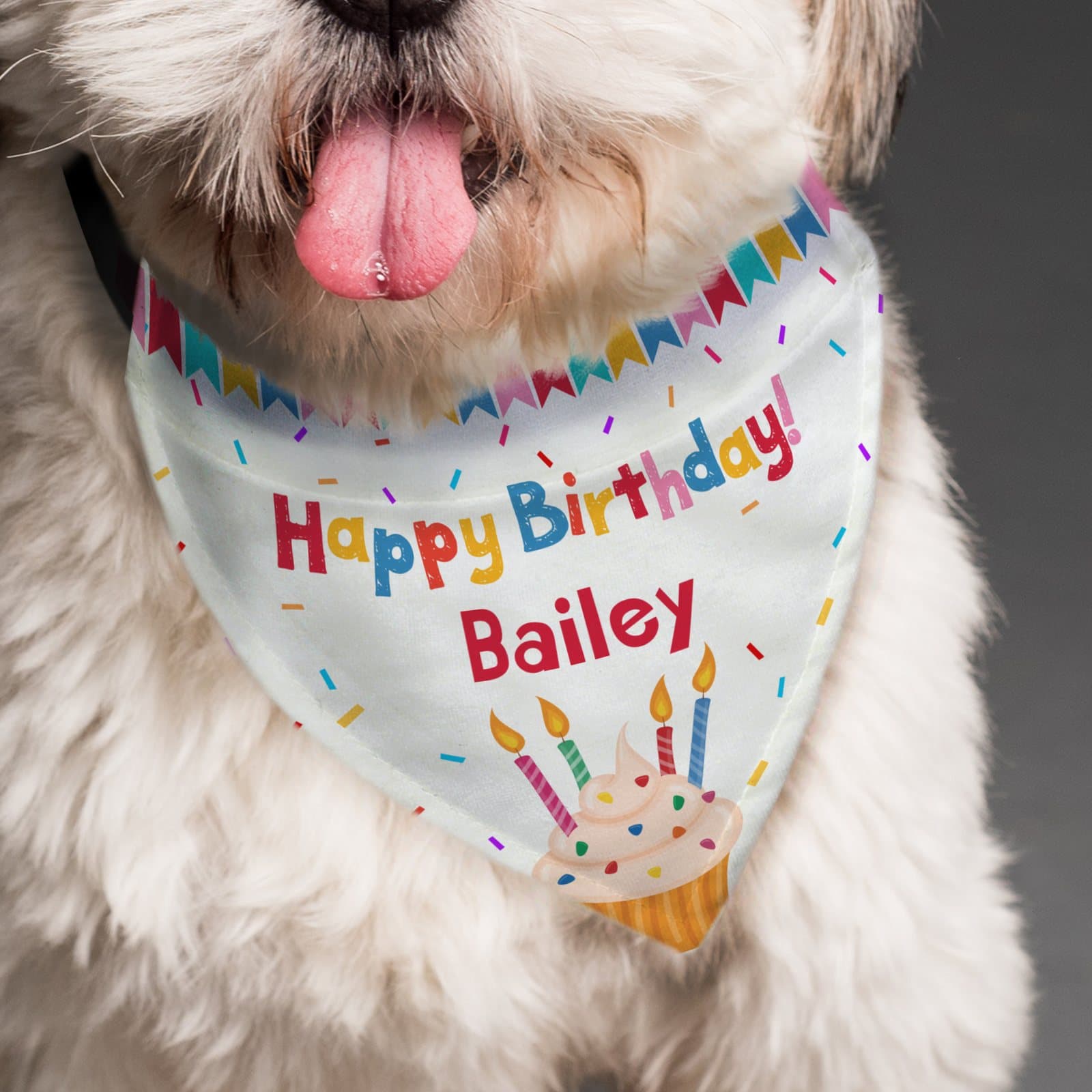 Happy Birthday dog bandana personalised with a dog's name