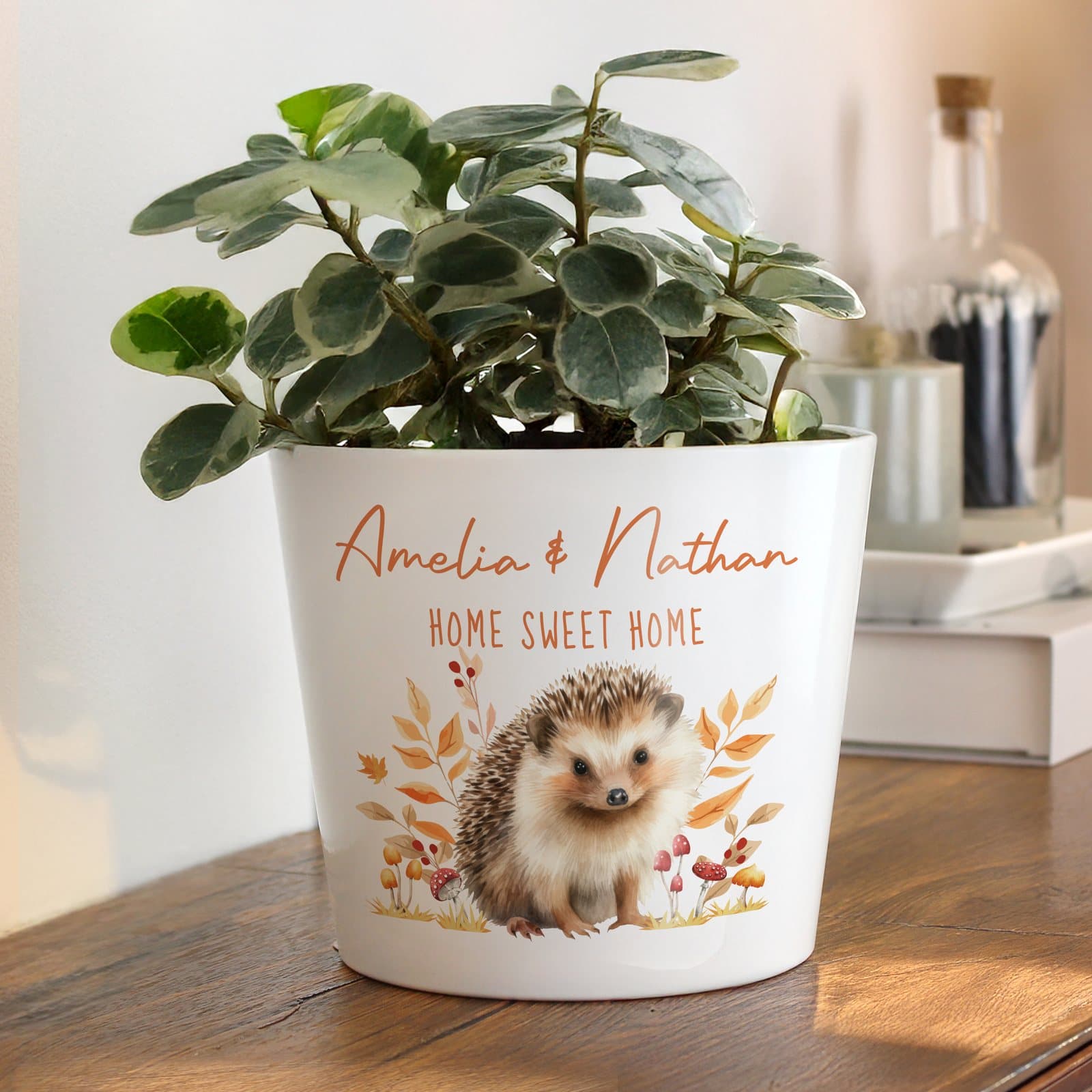 Personalised ceramic hedgehog large plant pot with two lines of text