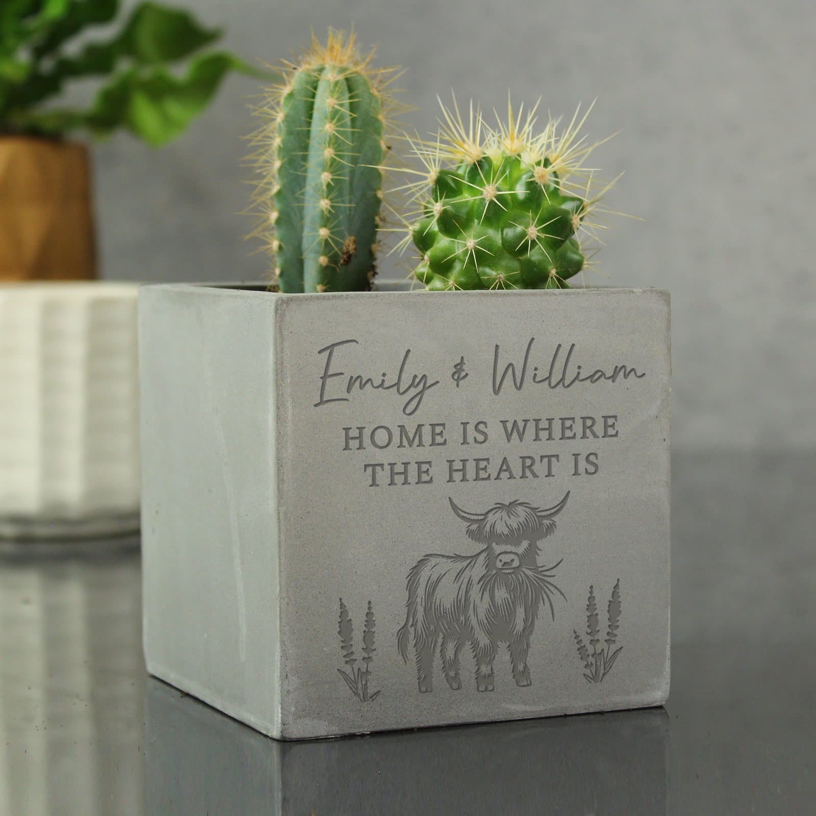 Concrete plant pot with a Highland cow design and personalised text above