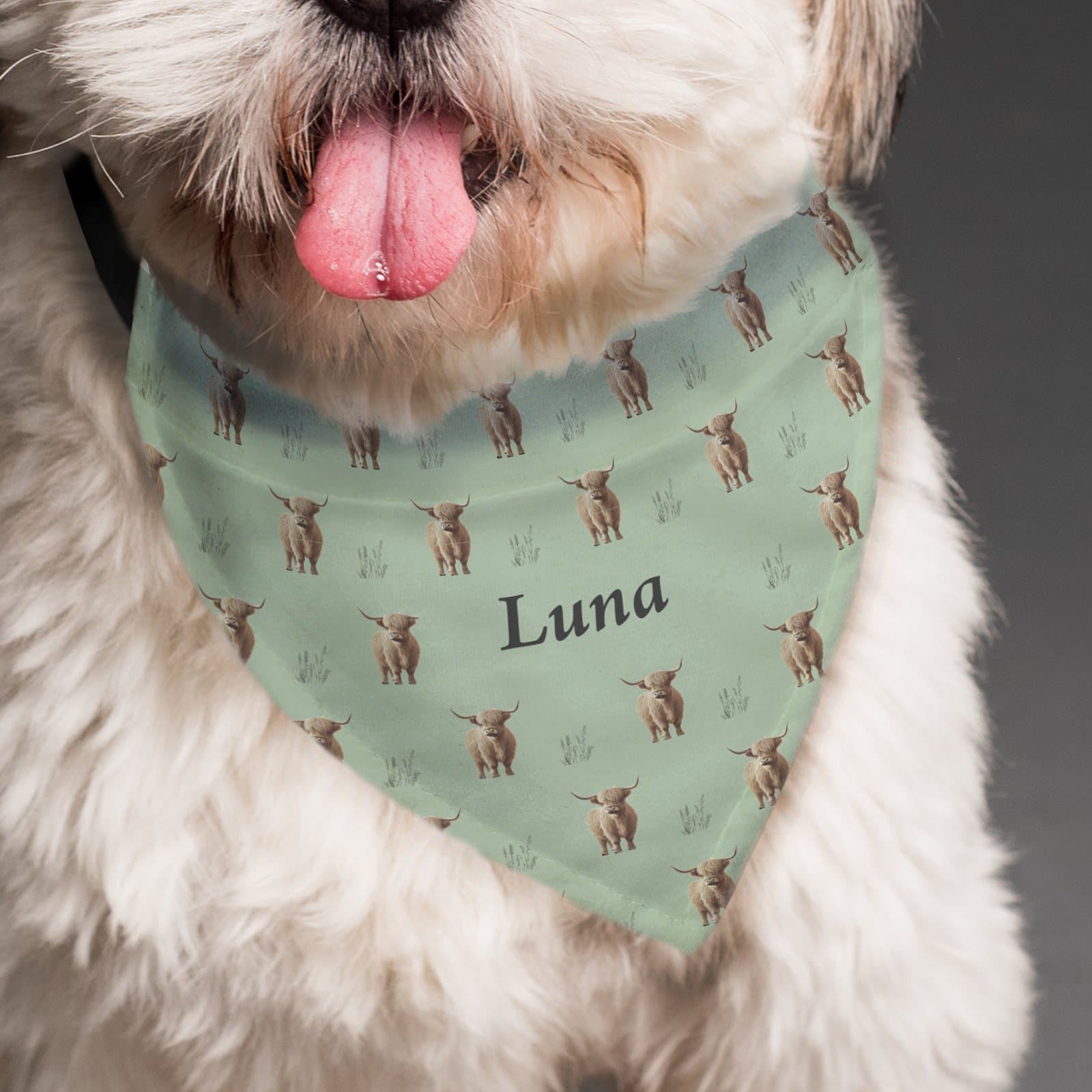 Sage green dog bandana with a Highland cow pattern and a name