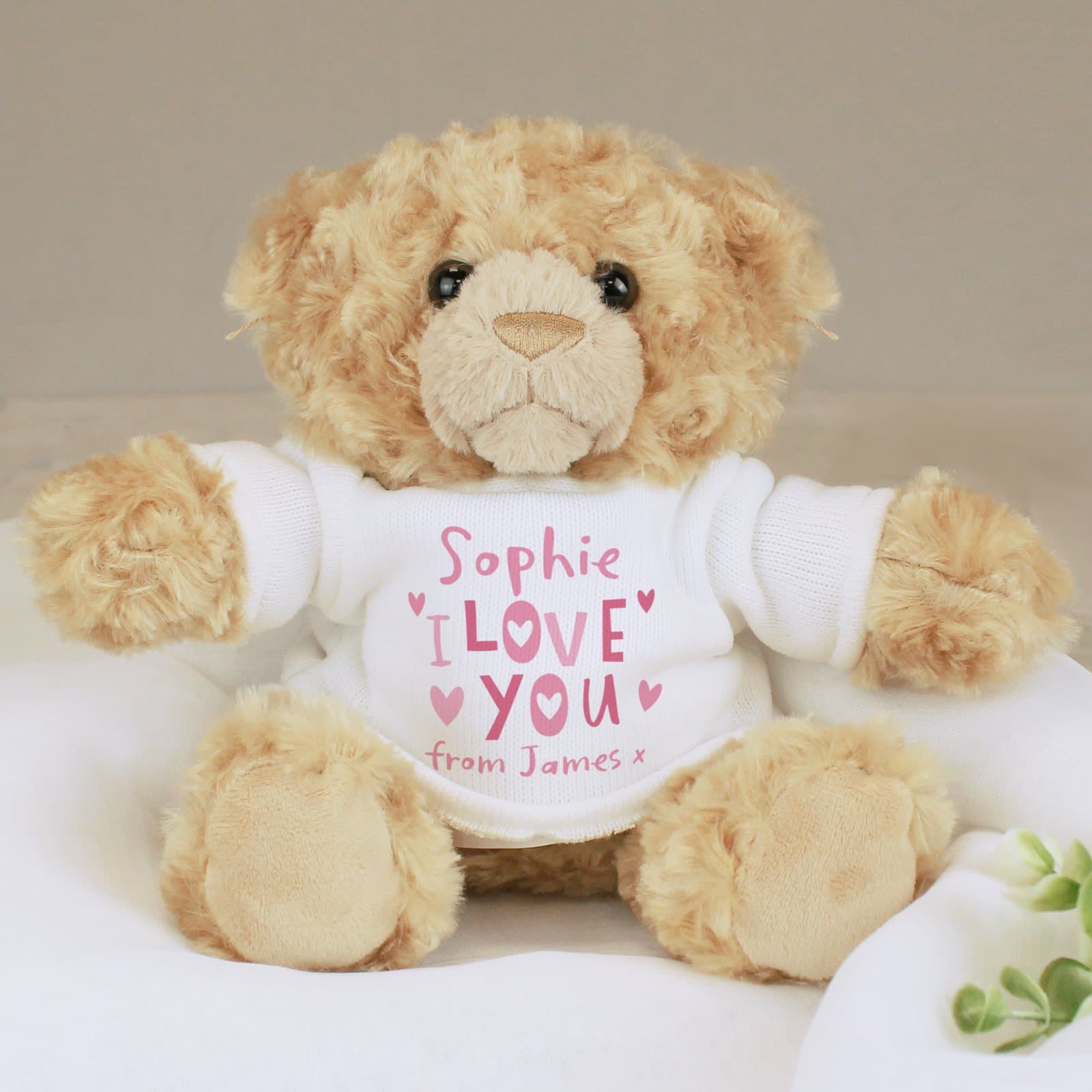 Cuddly teddy bear that can be personalised with a name and I love you message