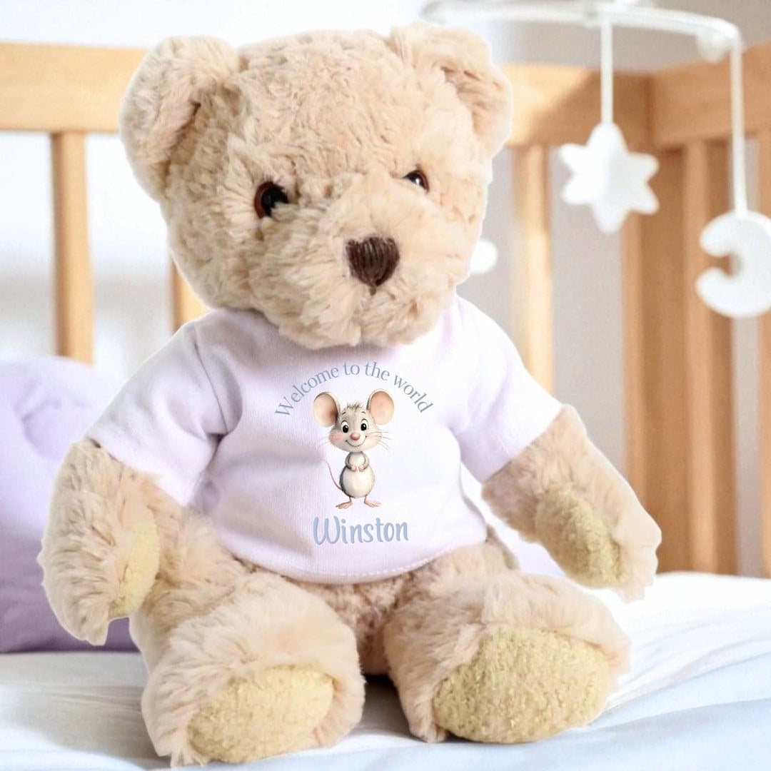 Personalised teddy bear in a T-shirt with a blue mouse and welcome to the world design
