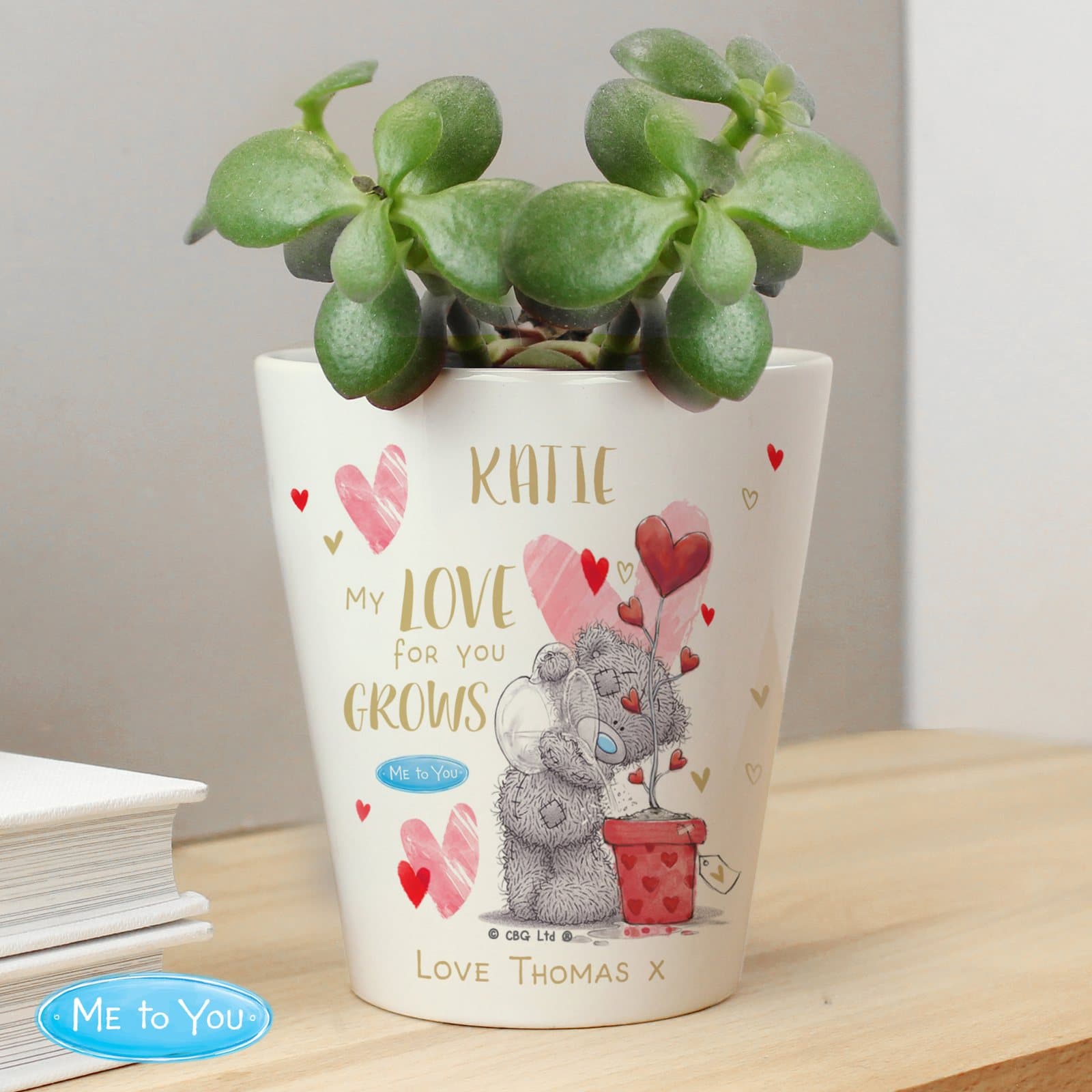 Ceramic plant pot with My love for you grows text