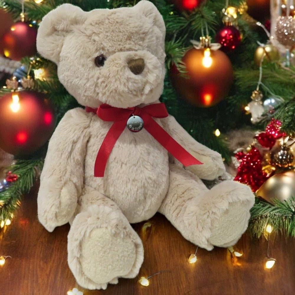 Teddy bear with a stainless steel charm on a red satin ribbon