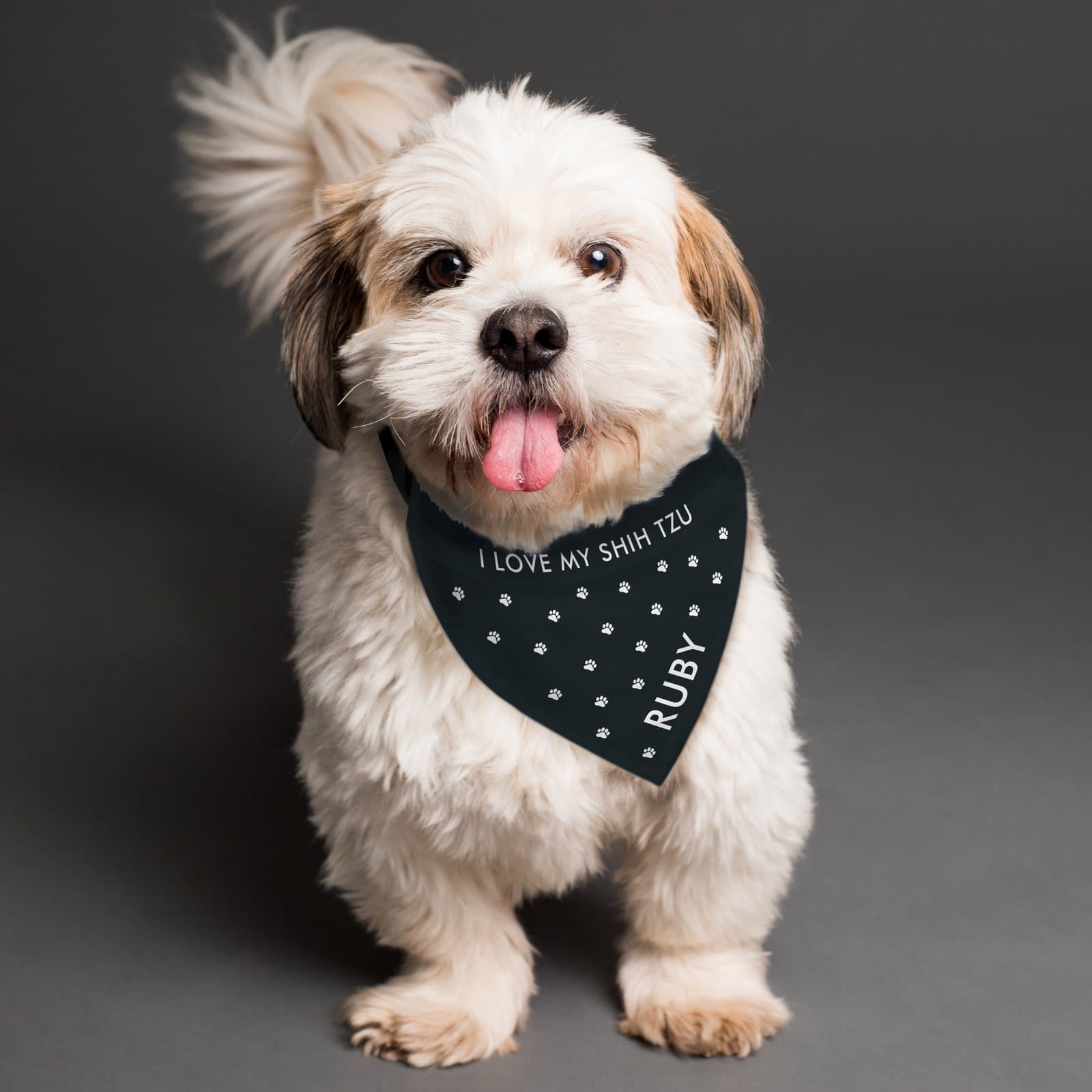 Personalised paw print dog bandana with a name and message