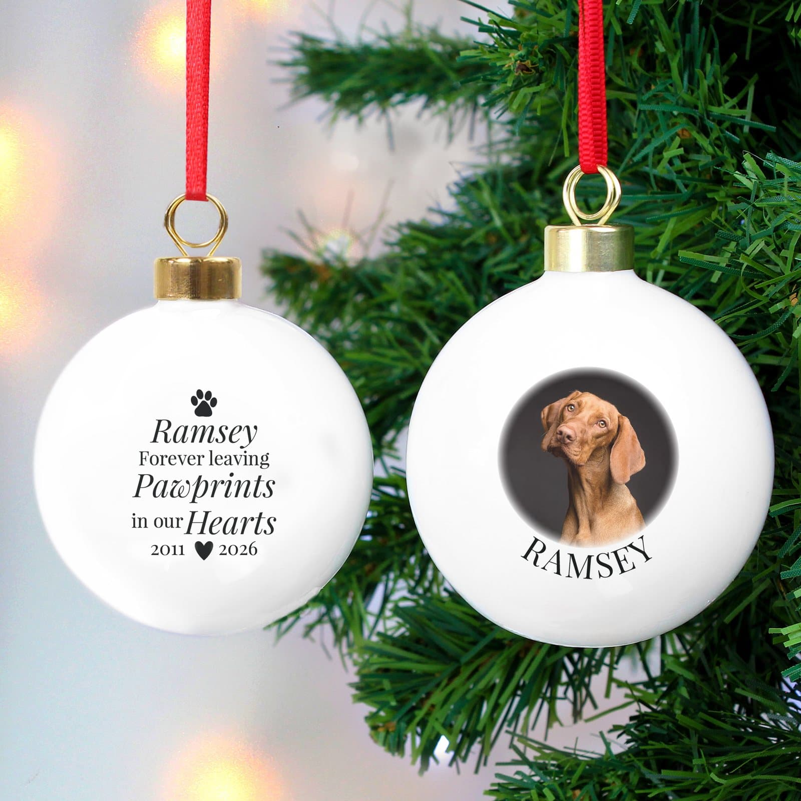 Memorial bauble with a pet photo, paw prints and a ribbon