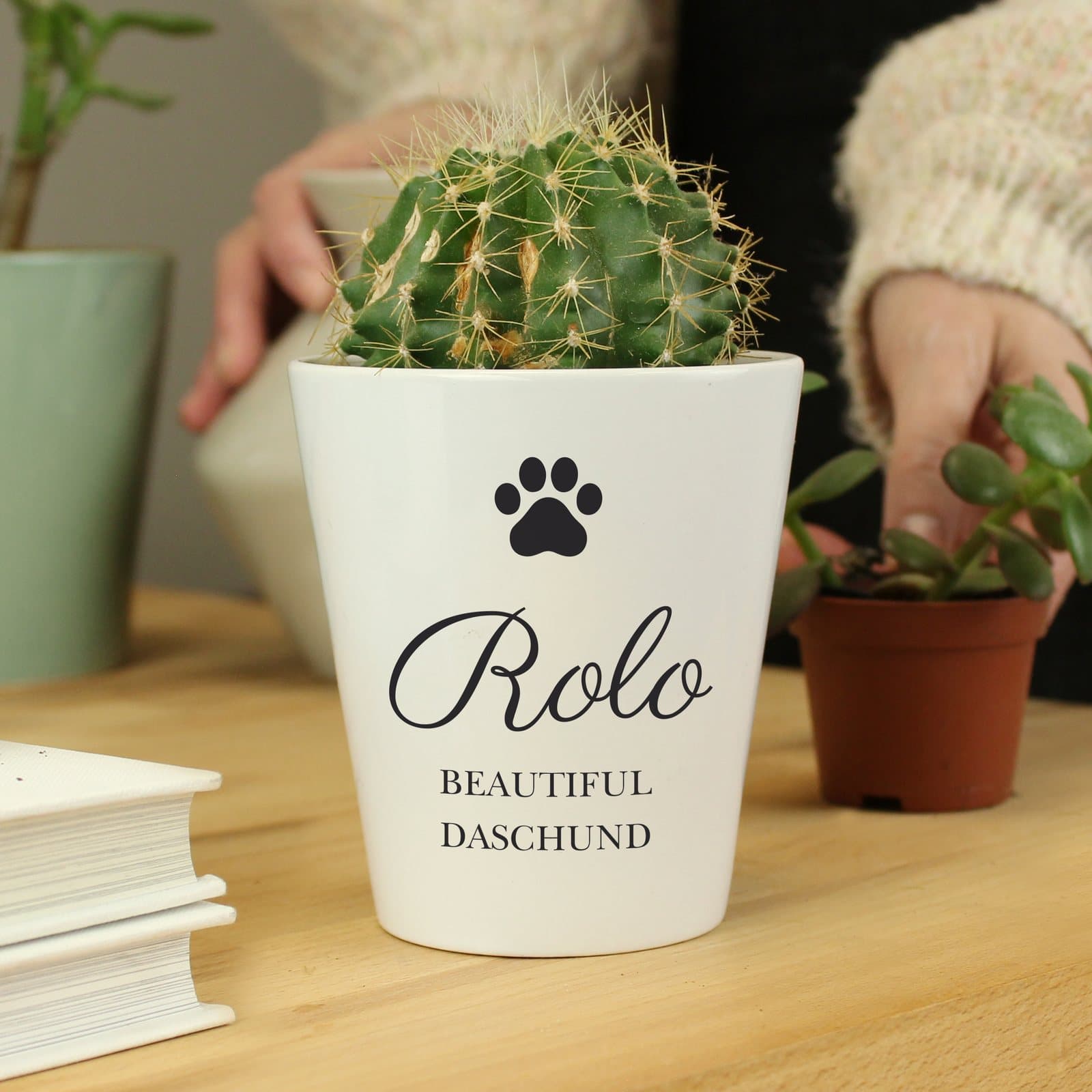 Ceramic paw print plant pot with personalised lines of text