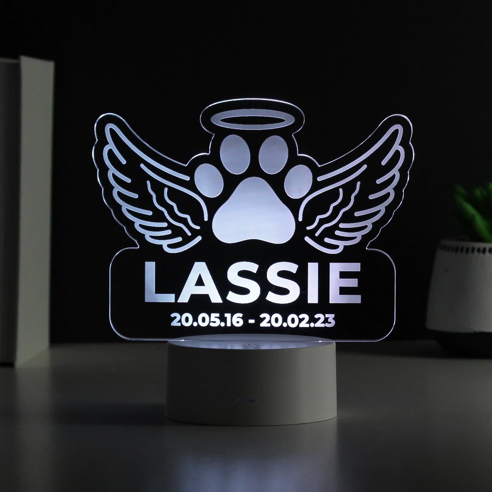 Personalised pet memorial colour changing LED light with two lines of text