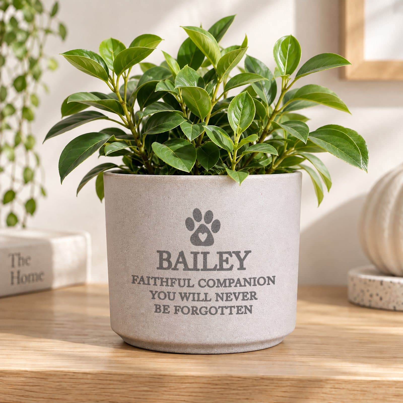 Personalised pet memorial flecked ceramic plant pot
