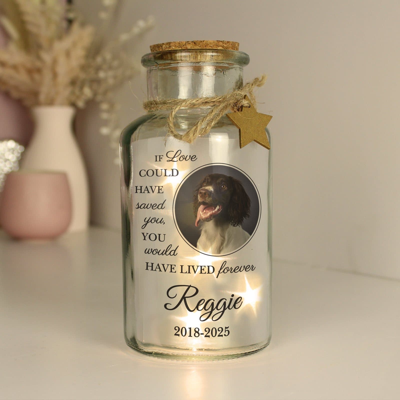 Glass LED light up jar with a pet photo and personalised message