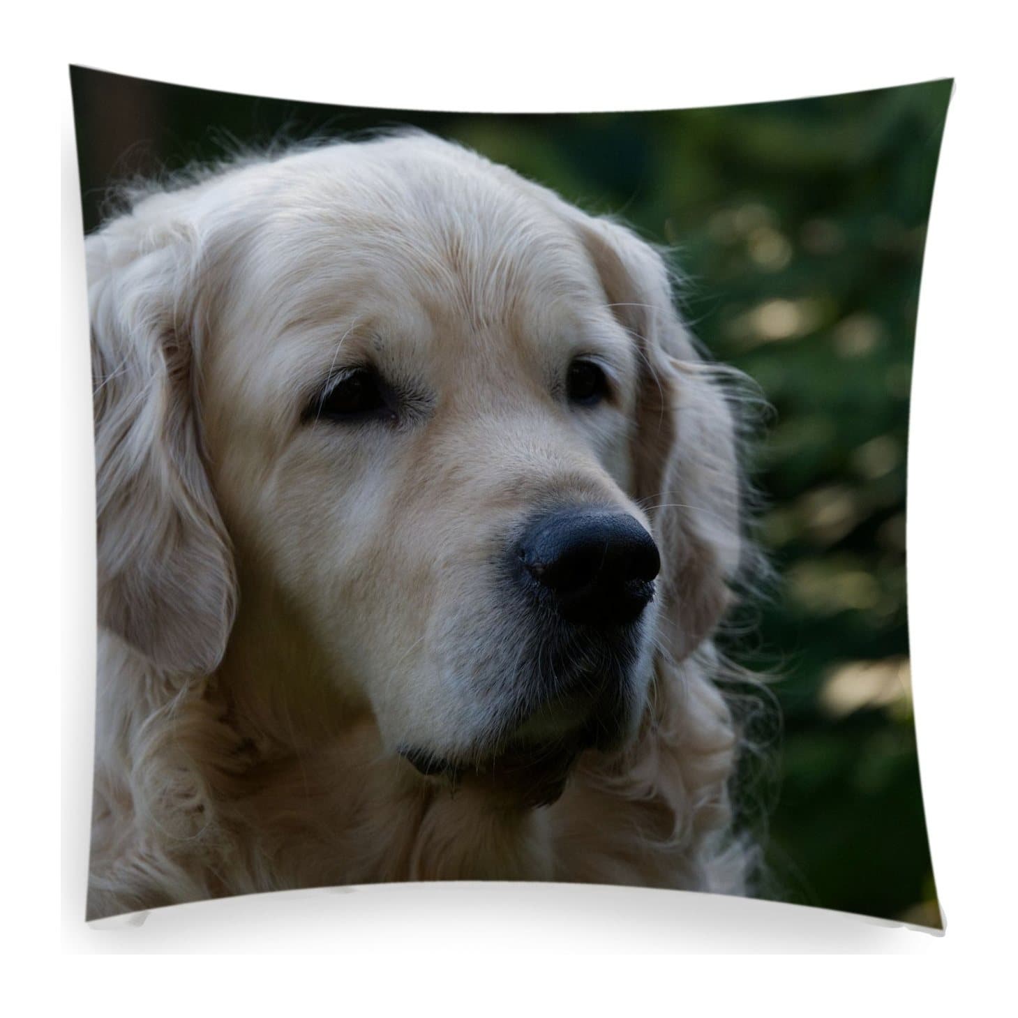 Faux suede cushion printed with a photo of a golden retriever