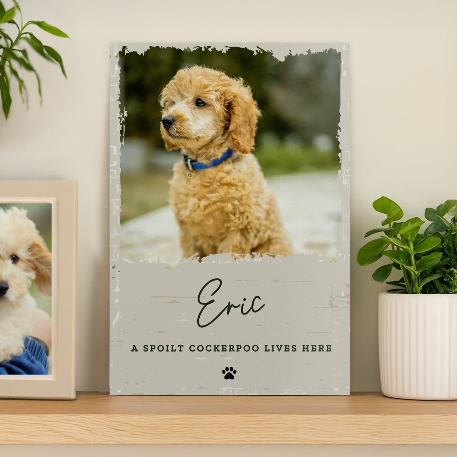 Aluminium pet sign with a photo and two lines of text