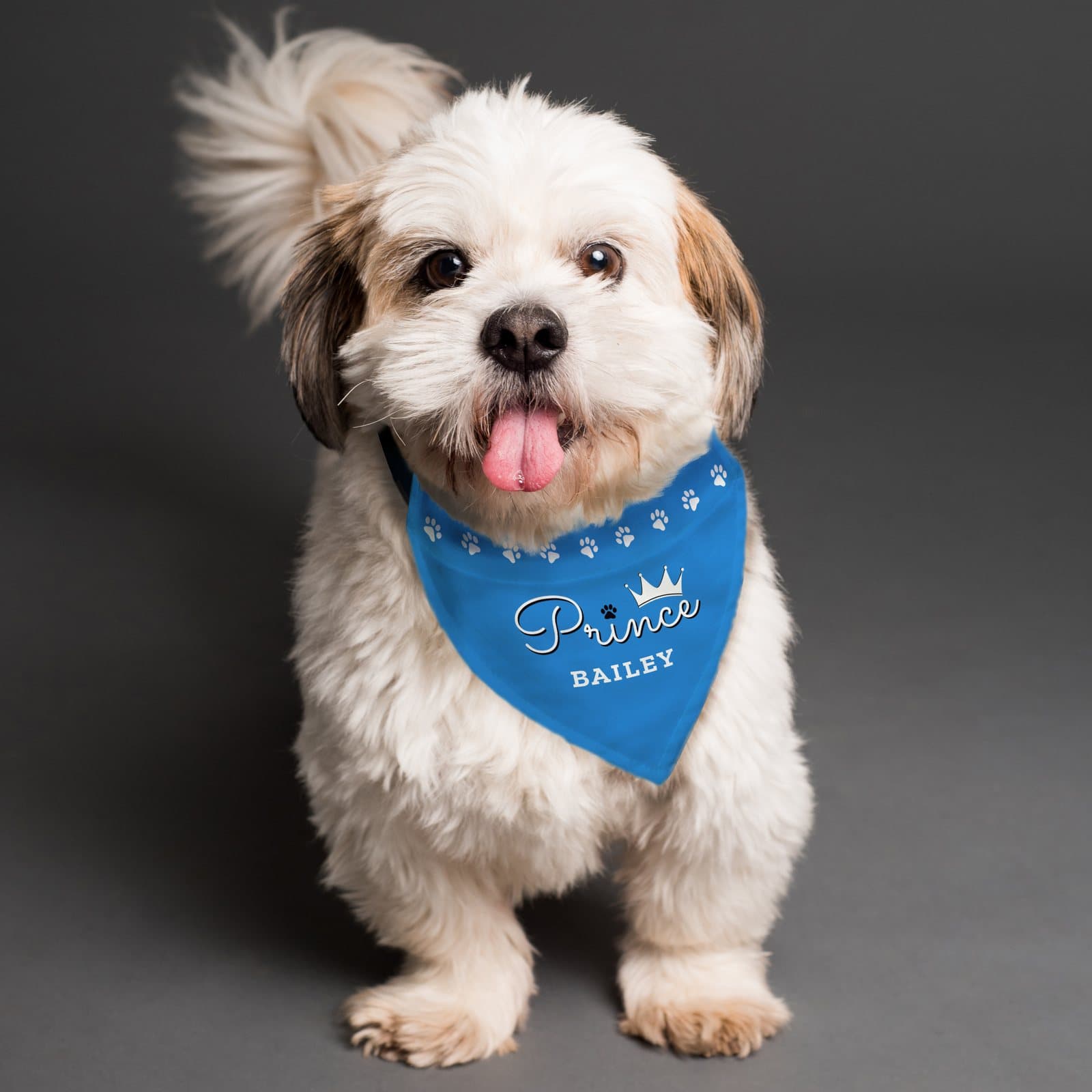 Dog bandana personalised with Prince and a dog's name