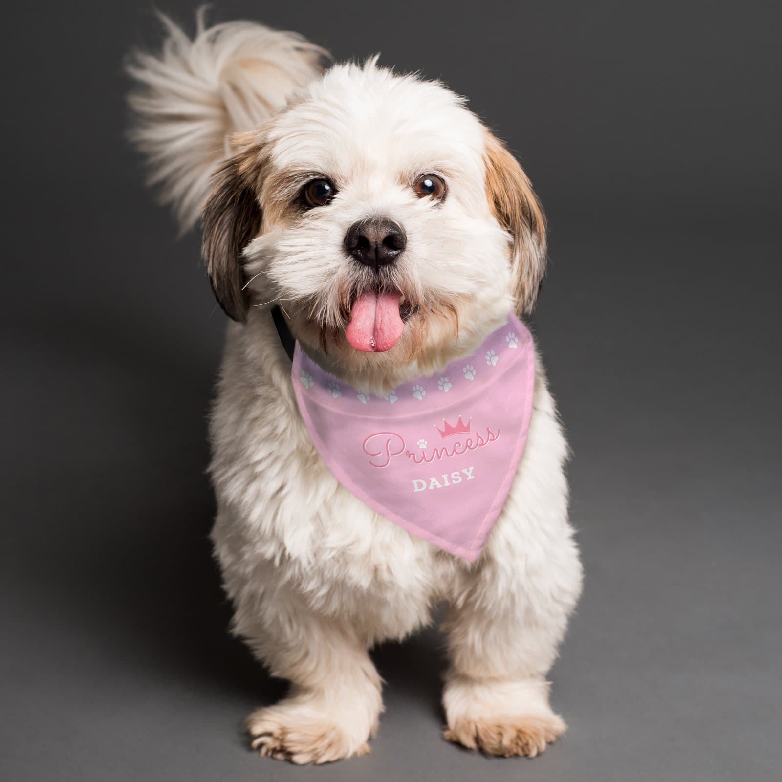 Dog bandana personalised with Princess and a dog's name