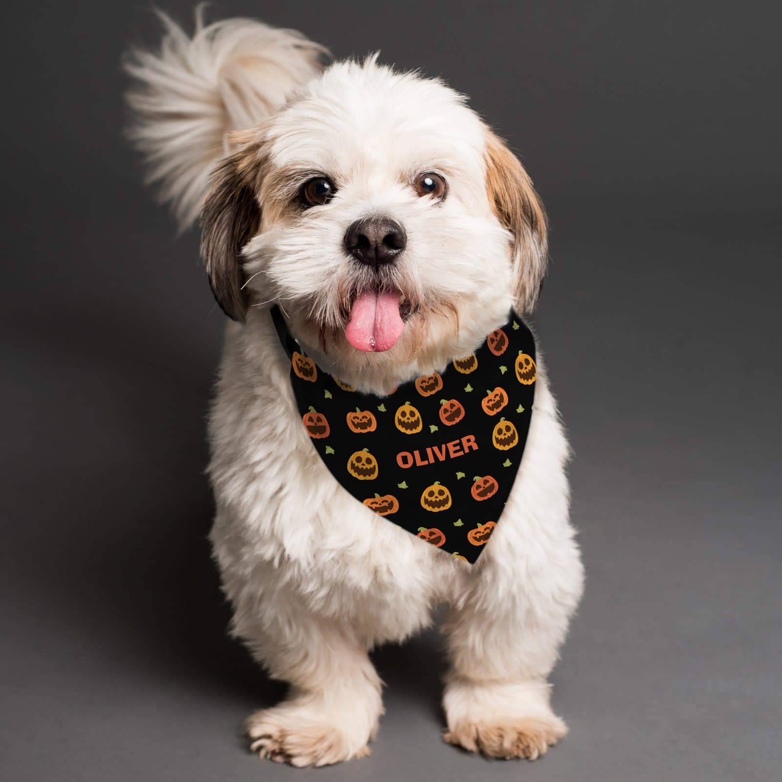 Dog bandana with a pumpkin patch design and a pet's name in the centre