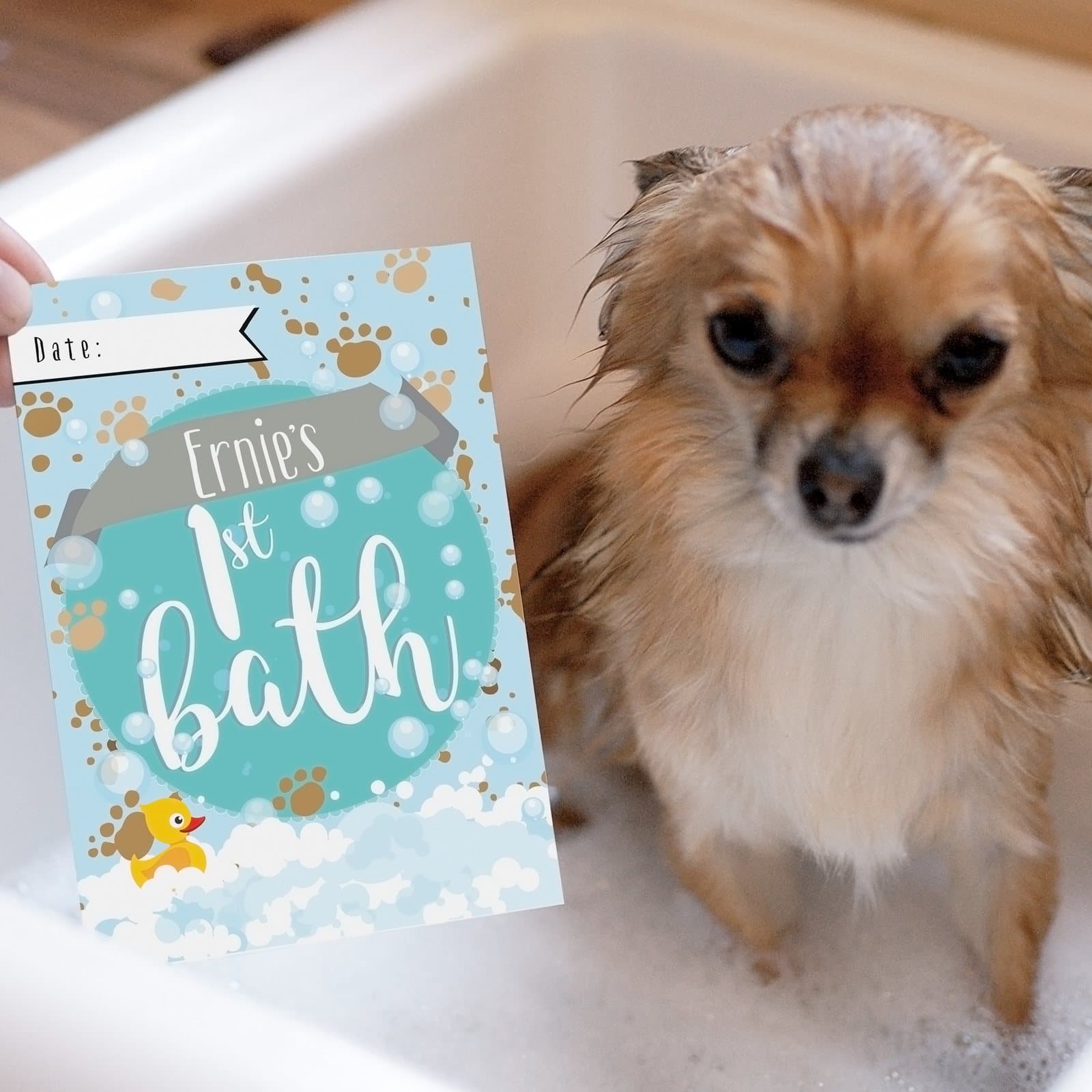Pack of personalised puppy milestone cards