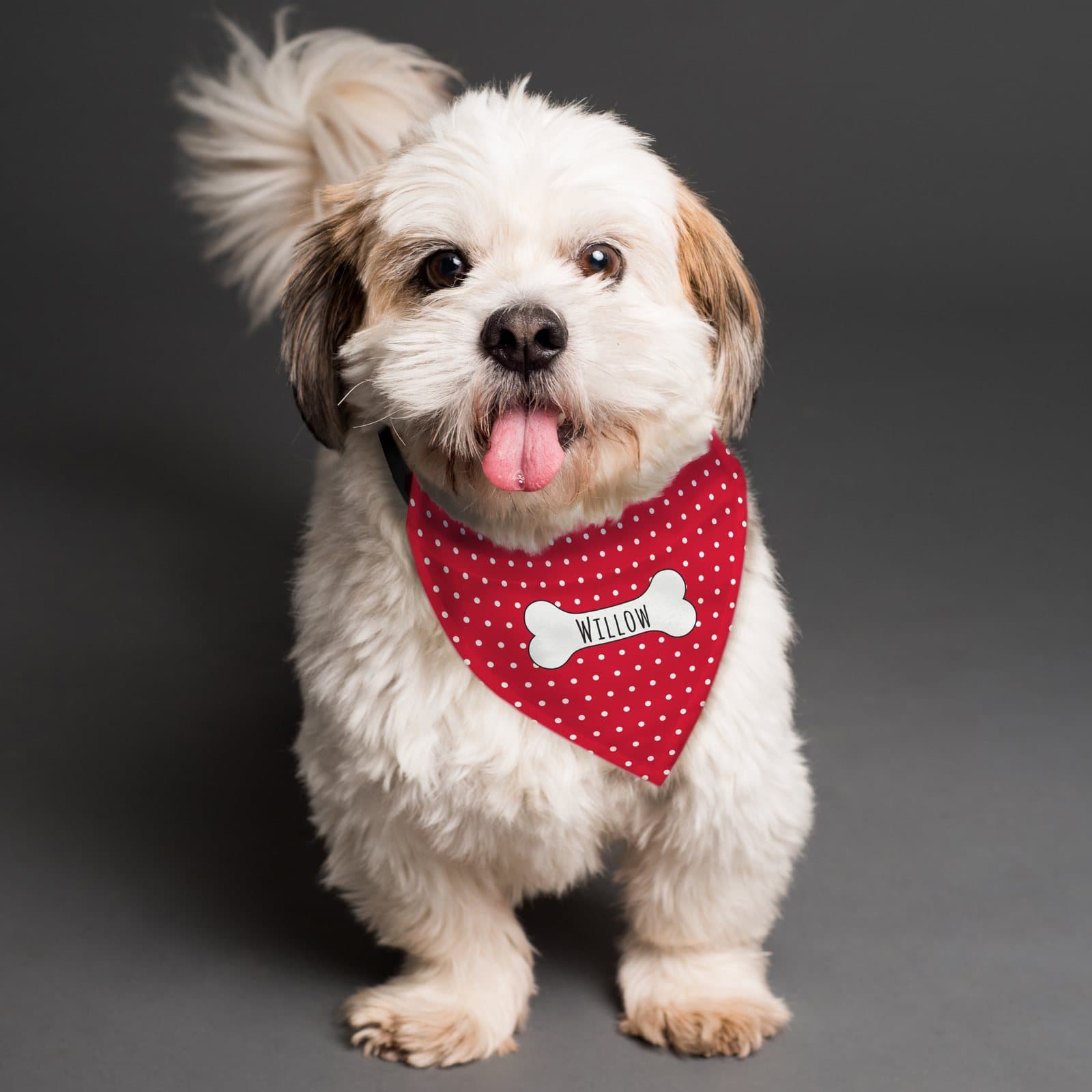Red polka dot dog bandana personalised with a name