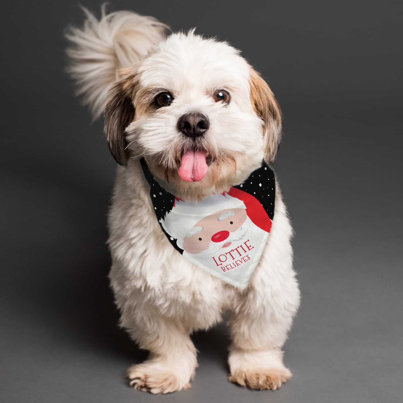 Santa dog bandana with space for a name