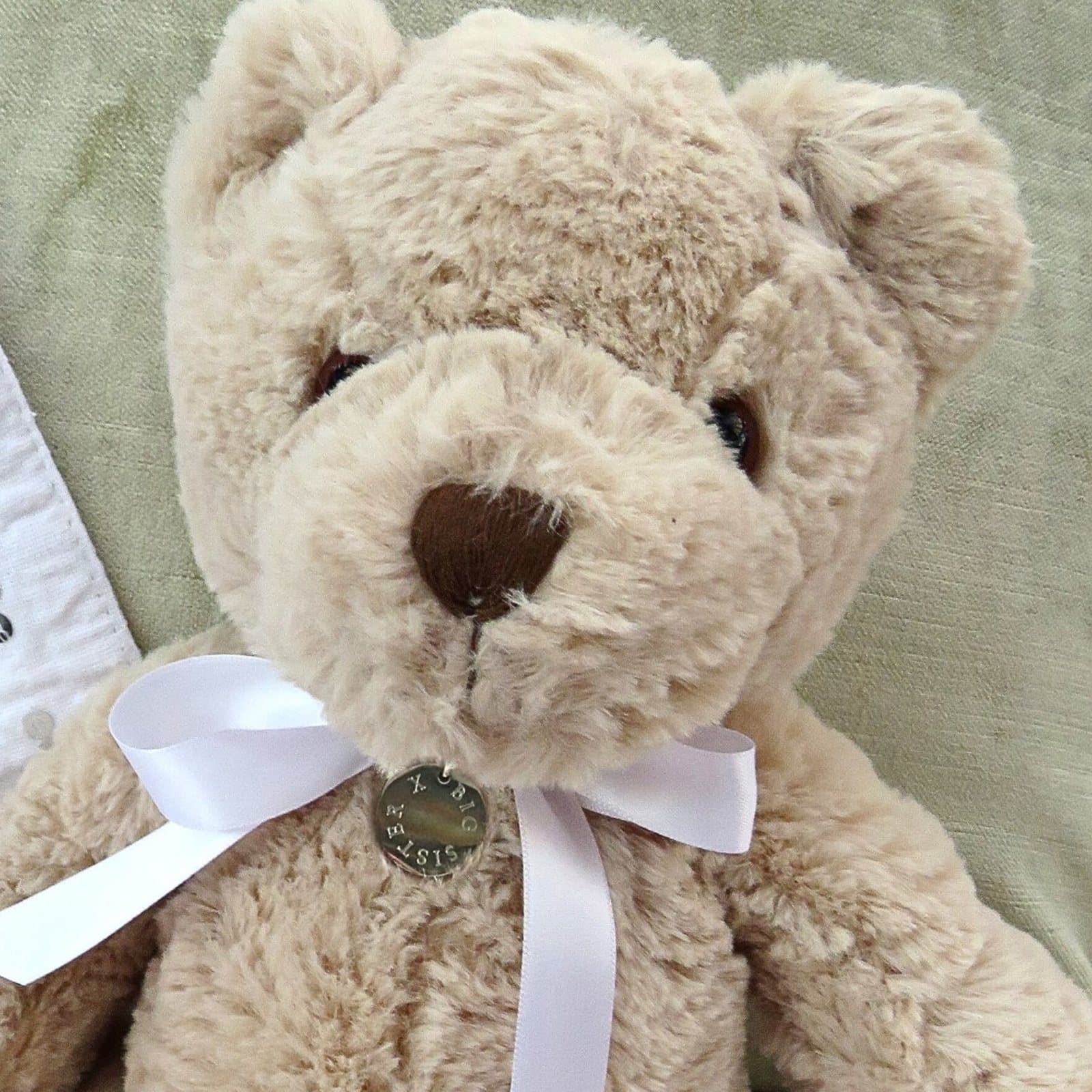 Personalised teddy bear with a stainless steel charm and ribbon