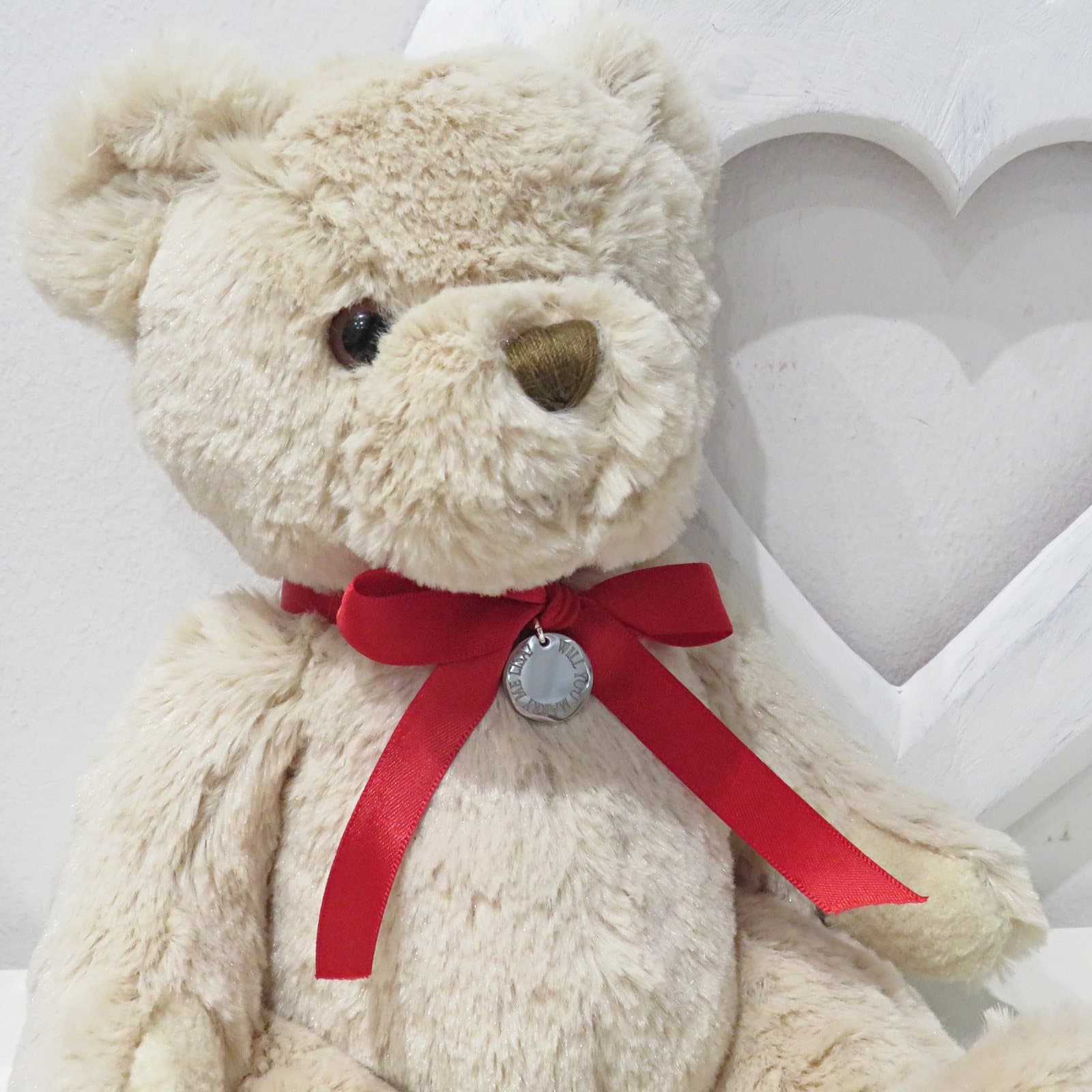 Personalised teddy bear with a stainless steel disc on a red satin ribbon