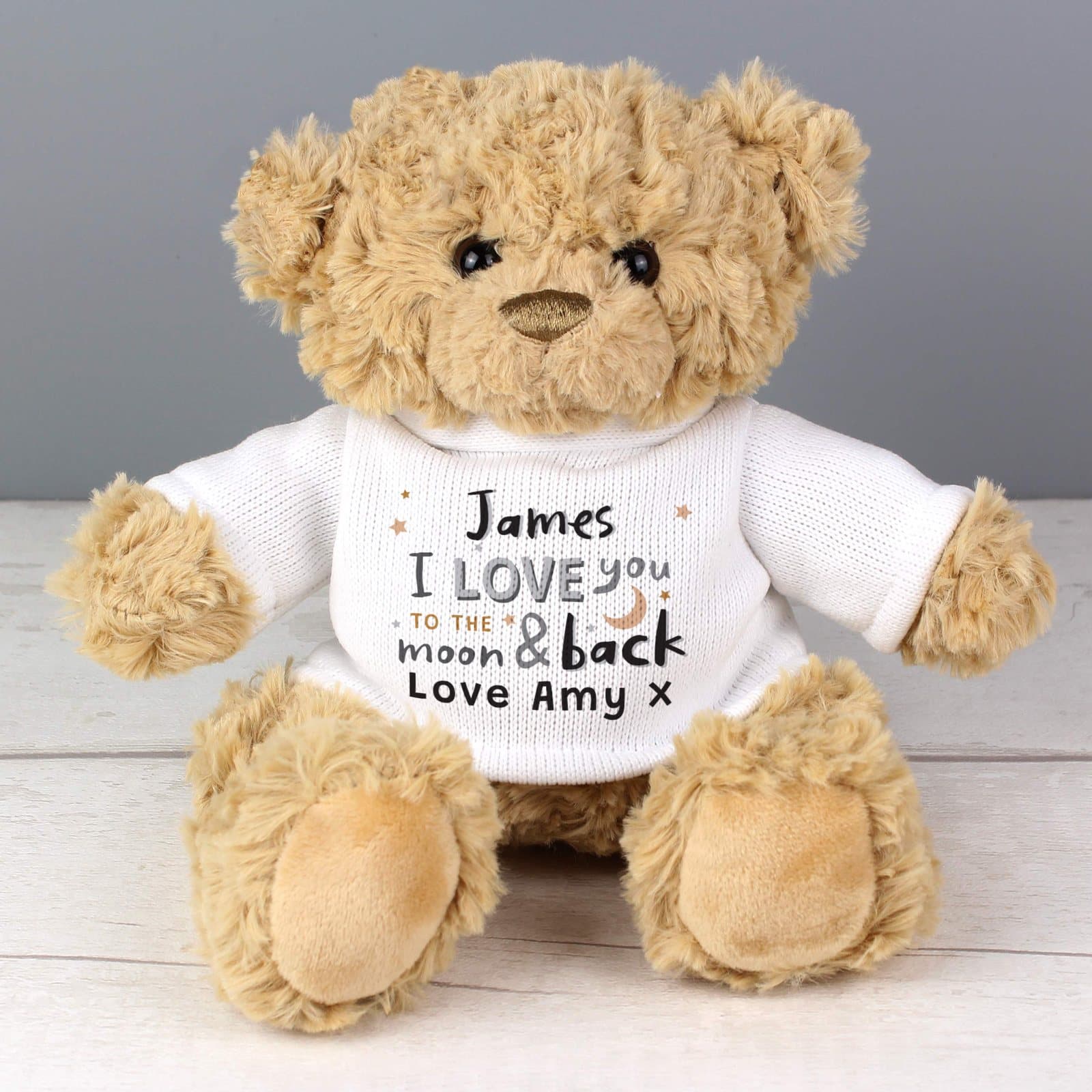 Plush teddy bear with to the moon and back love message