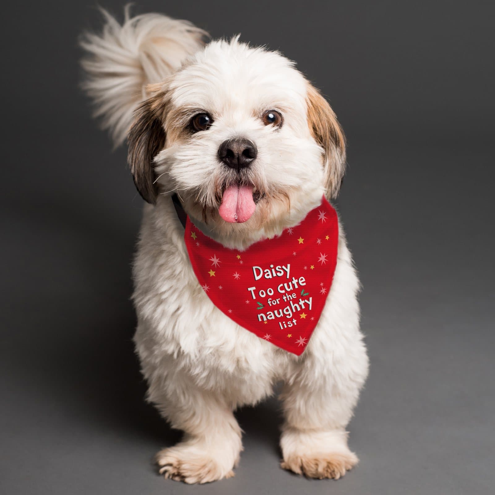 Dog bandana with Too cute for the naughty list text and a name