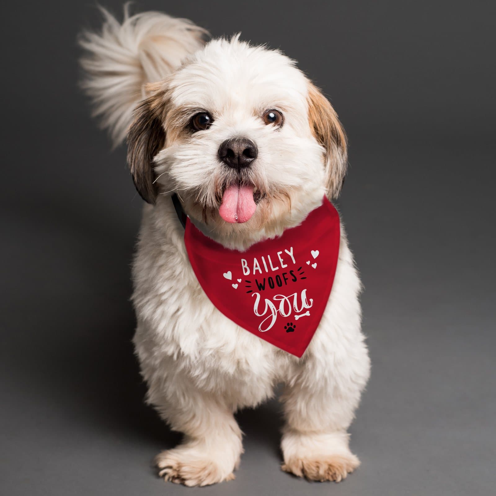 Personalised Woofs You dog bandana with a dog's name