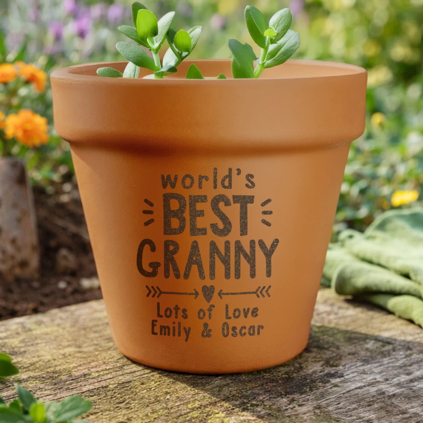 Personalised World's Best terracotta plant pot